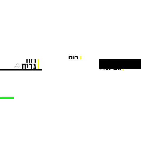 ruachgabit GIF