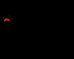 Lustrumfiesta GIF