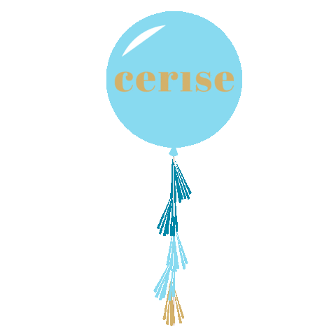 Ballonpost Sticker by bycerise