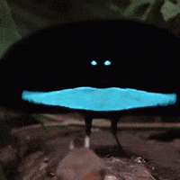 GIF dodany przez Krzychu