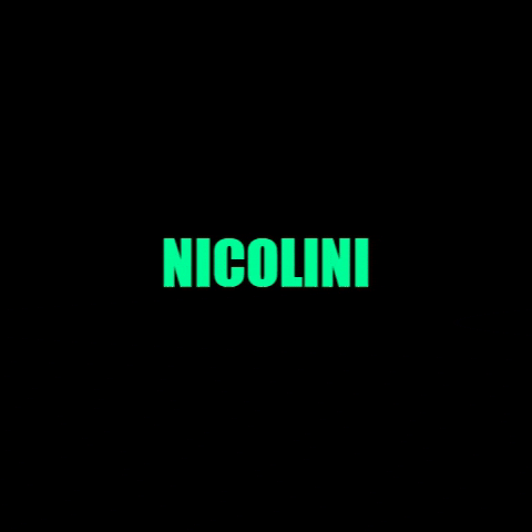 Nicolini Acessórios GIF