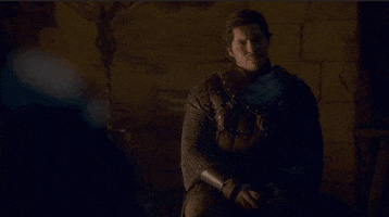 vulture game of thrones brienne podrick game of thrones 802 GIF