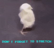 Exercise Stretching GIF