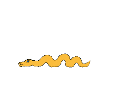 Politics Country Sticker by showupia