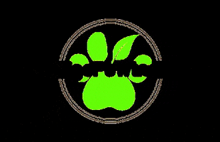 VigoPawtner GIF