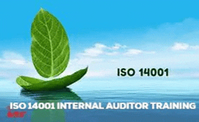 Iso 14001 Internal Auditor Training GIF