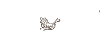 Food Nutrition GIF by Nestlé Chile