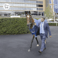 Enable Frankie Dettori GIF by World Horse Racing