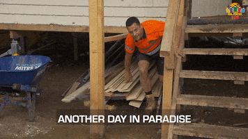 Happy Channel 9 GIF by The Block