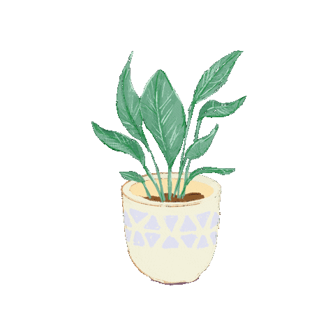 Plant Leaf Sticker by RAE CHA CHING