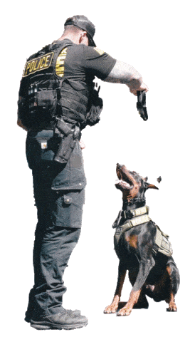 Https Encrypted Tbn0 Gstatic Com Images Q Tbn And9gcsz4pgmmexi V5iux1eeqrjn1vctutfob38nq Usqp Cau