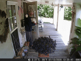 Animated GIF