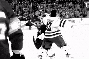 San Jose Sharks Nhl GIF