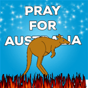 Australia Pray GIF by Digital discovery