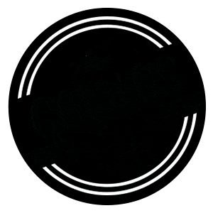 Venezolanos Venezolanosenespaña Sticker by GOCHOS BCN