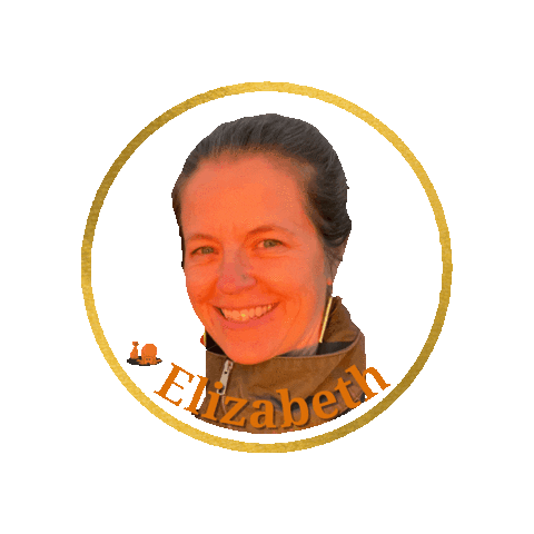 Barksandrecct Sticker by Barks and Recreation, LLC