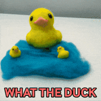 wtf-what-the-duck-hWjyJYEG5m9gZ71RmX