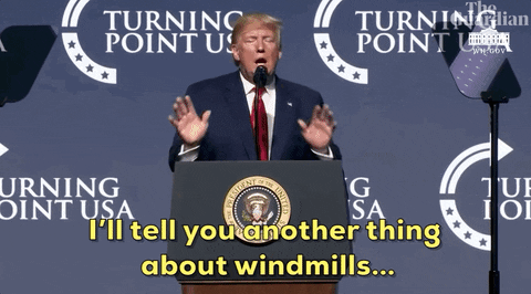 Giphy - Donald Trump Windmill GIF