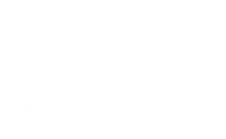 Sushi y Cebiche Sticker
