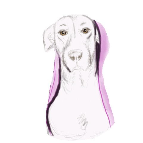 Animated Sticker
