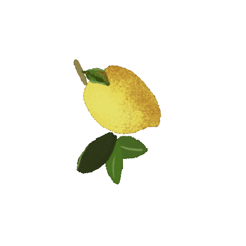 Yellow Sticker
