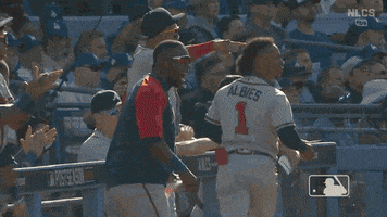 Atlanta Braves Baseball GIF by MLB