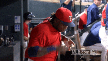 miguel sano twins GIF by MLB