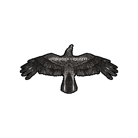 Memento Mori Halloween Sticker by The Wild Curiosity