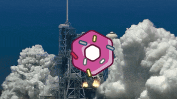 Crypto Rocket GIF by DONUTs