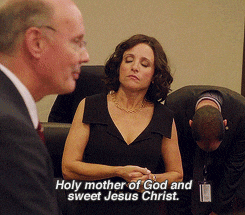 TV gif. Julia Louis Dreyfus as Selina on Veep. She's standing in the middle of a room and has her hands clasped together as she closes her eyes and tilts her head to the ceiling. She prays and says, "Holy Mother of God and sweet Jesus Christ."