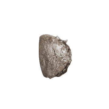 Feyzala Sticker by Likya Estetik