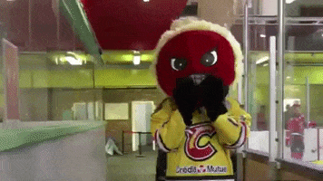 meudonhockeyclub happy hockey mascotte meudon GIF