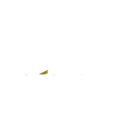 inverdisa Sticker