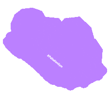 Athlete Squat Sticker by Palladion Gym