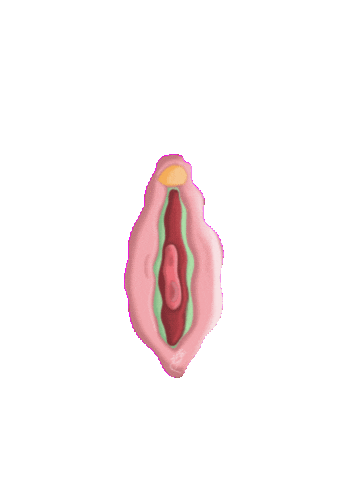 Animated Sticker