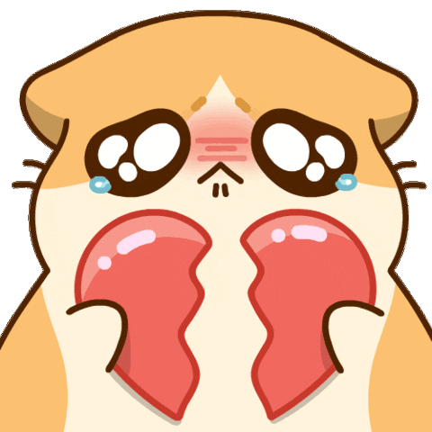 Catmemes GIF by Bichi Mao