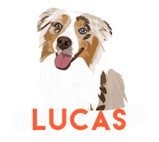 ponspetsupplies Sticker