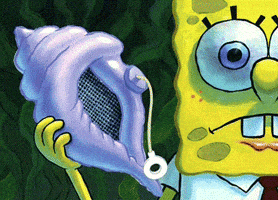 conch GIF conch GIF