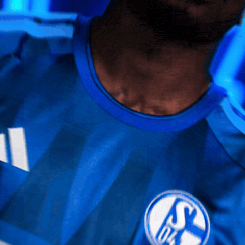 Football Soccer GIF by FC Schalke 04