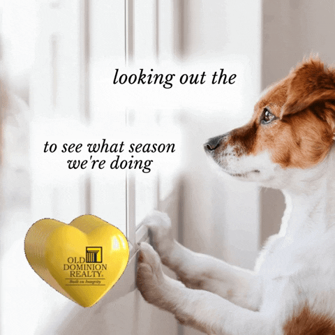 Real Estate Summer GIF by Old Dominion Realty