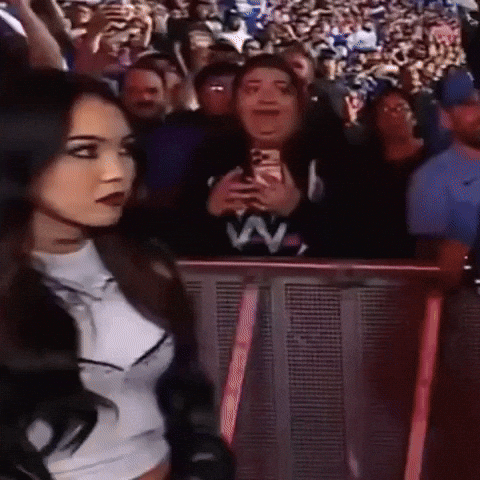 Mad Wwe GIF