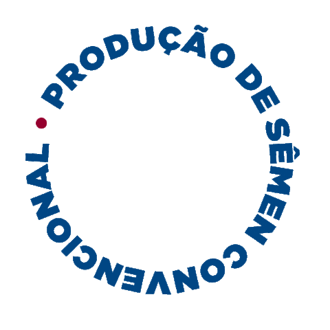 Central Bela Vista Sticker