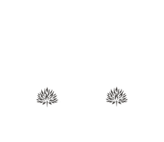 Fósforo Mezcal Sticker