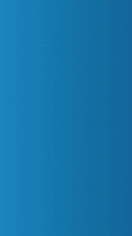 Flex México GIF