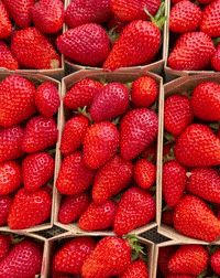cedricgrolet-summer-strawberry-fraise-hiKTyDd7GbwFbjgmGx