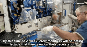 space station news GIF