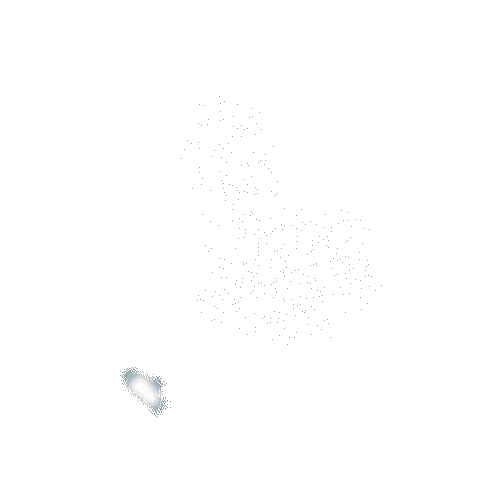 Bird Flying Sticker