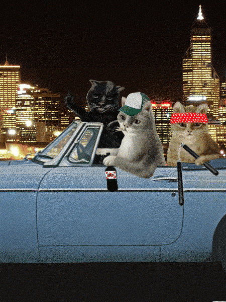 Digital art gif. Three tough cats chill in a convertible. One holds nunchucks and another flips us off as the third drives the car past an alley.