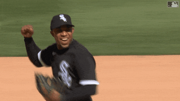 Lets Go Smiling GIF by Chicago White Sox
