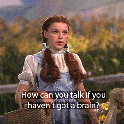 giphy.gif?cid=3640f6095c1bdfc5384c465145